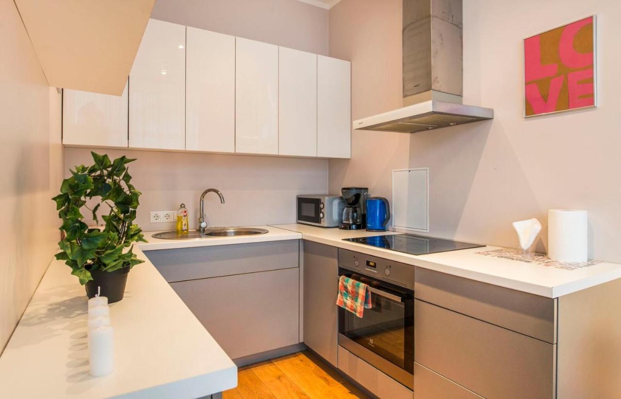 Central 2-Level Penthouse With Terrace And Free Parking Riga Exteriör bild